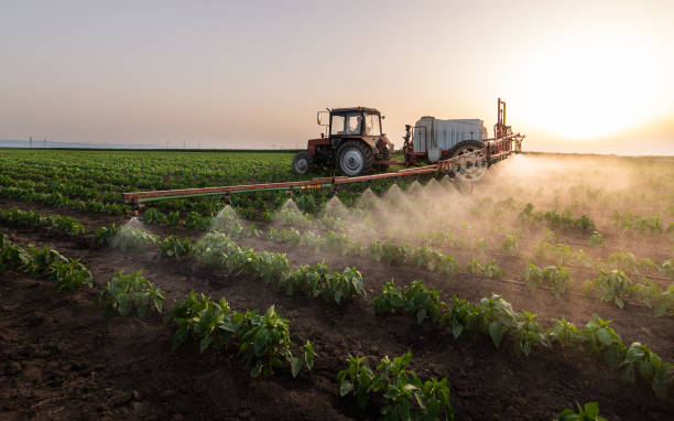 Best Commercial Pest Control Services  in Simi Valley, CA