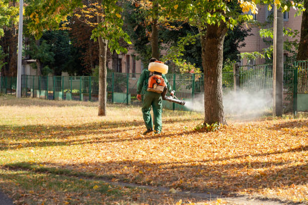 Best Wasp Removal Services  in Simi Valley, CA