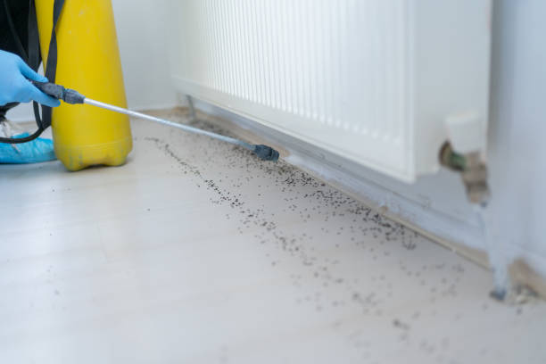 Best Wildlife Control Services  in Simi Valley, CA